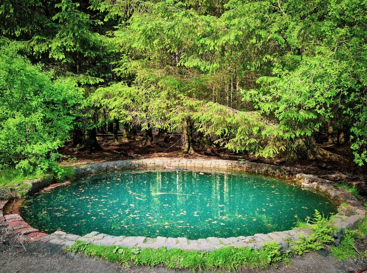 Adoture Liner de bassin pour bassin à poissons, piscine, à membrane  renforcée 3 m x 2 m 10S(0.08mm) : : Jardin
